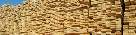 Construction timber